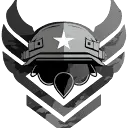 Camo Division